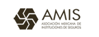 AMIS - Clientes ITW Consultoria y Servicios de QA en México y Latinoamérica